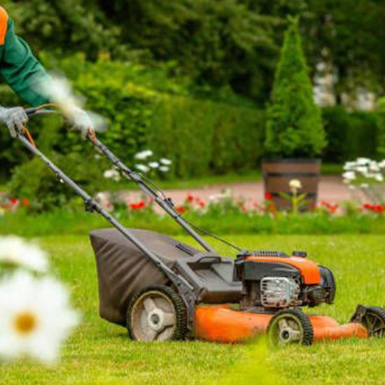 Landscaping in Chandler AZ - Garden Design