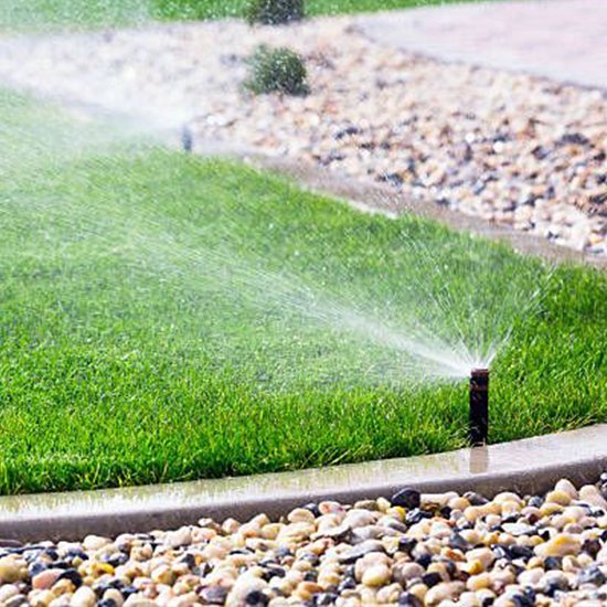 Landscaping in Chandler AZ - Garden Design